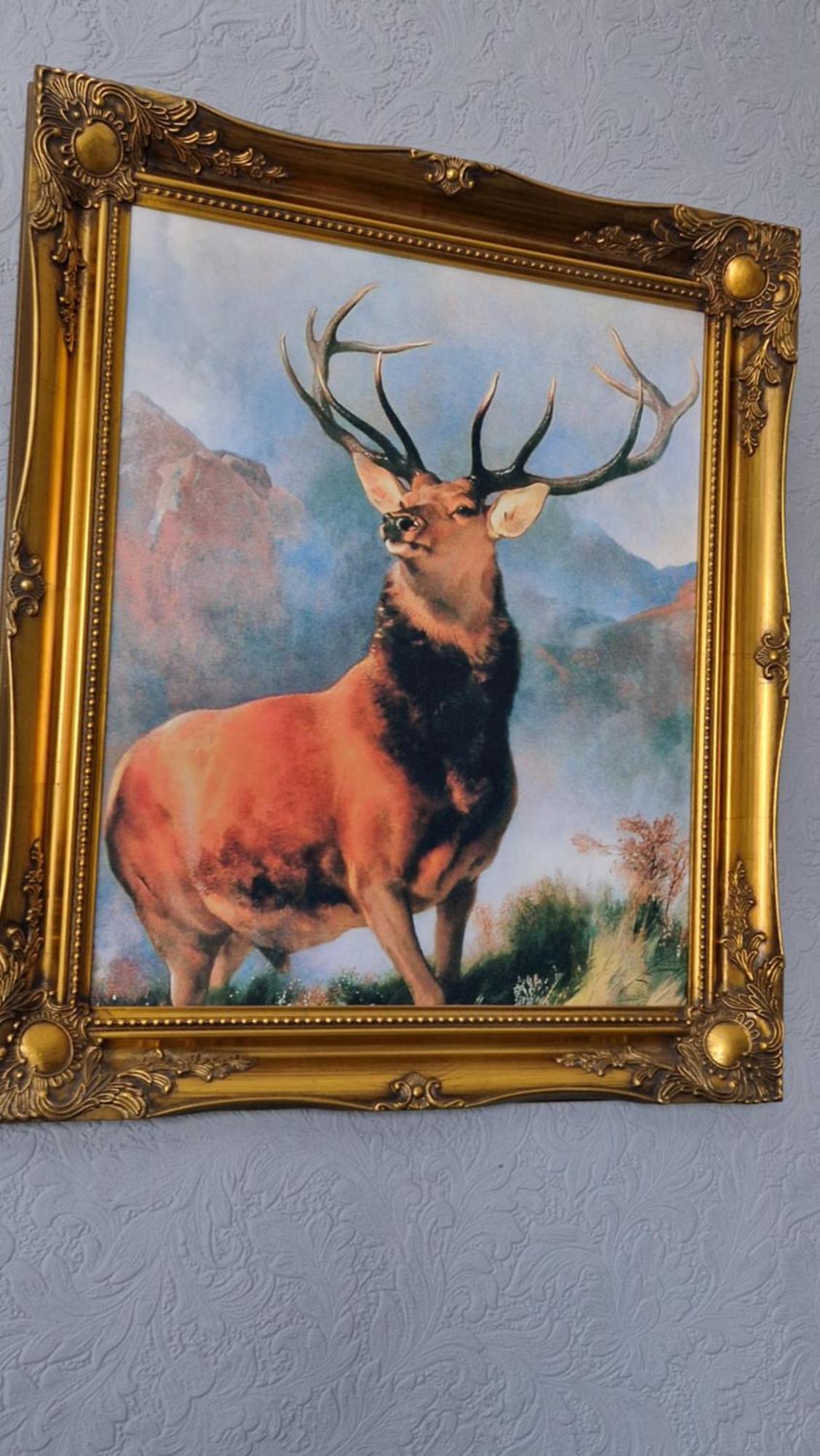 Appartamento Bonnie Taigh With Free Parking 24 Pitlochry